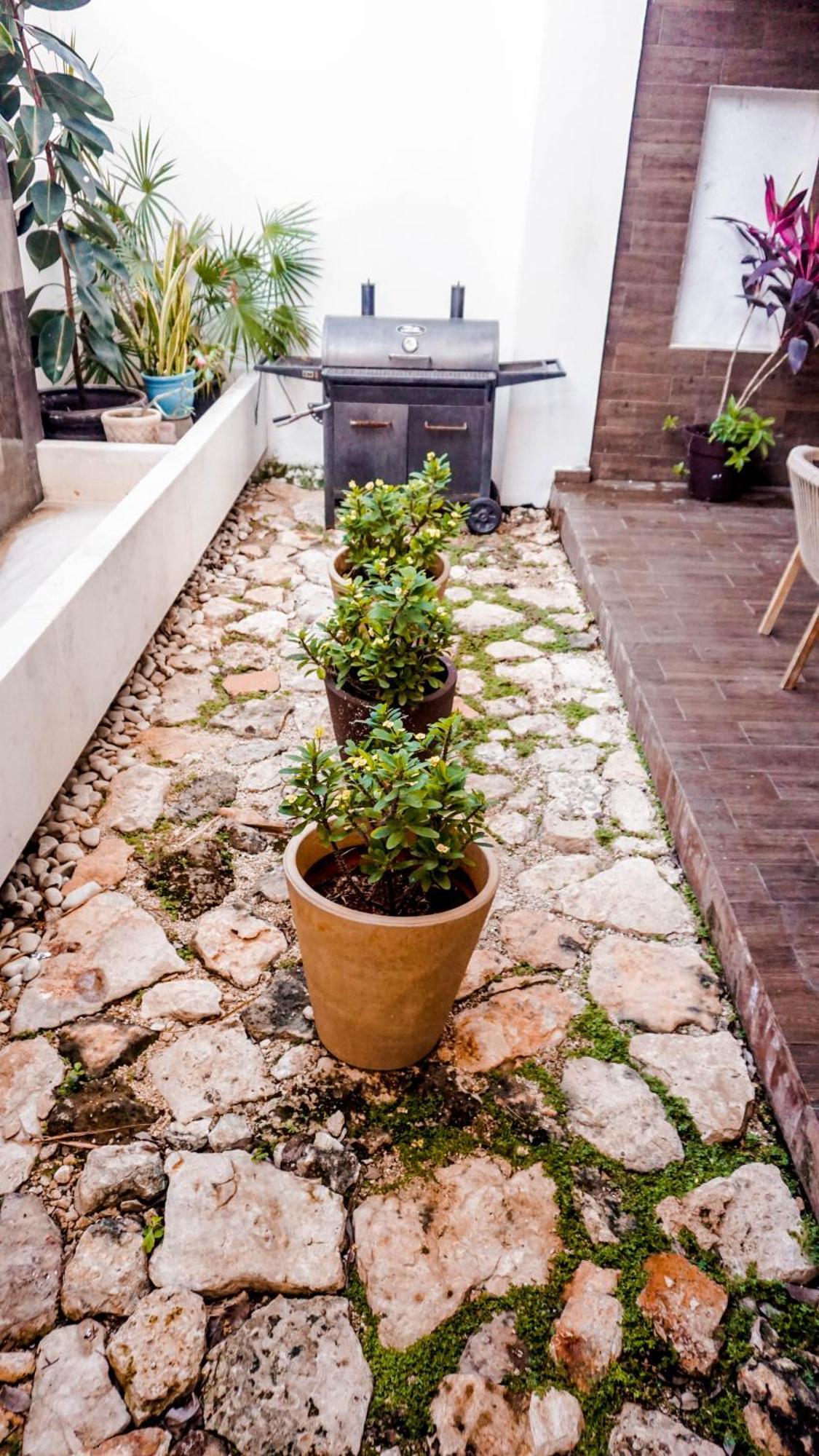 Casa Montejo 梅里达 外观 照片